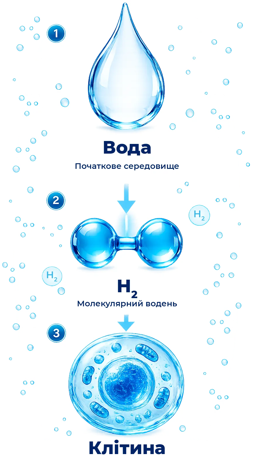 Hydrogen water